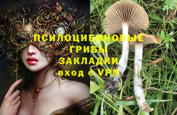 сатива Алексин