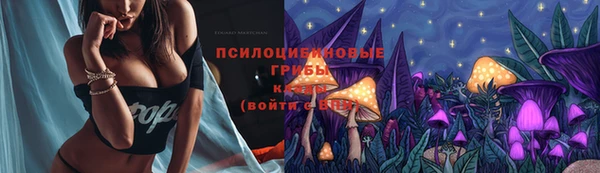 герыч Алзамай