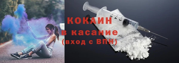 прущие грибы Пересвет