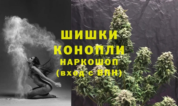 сатива Алексин