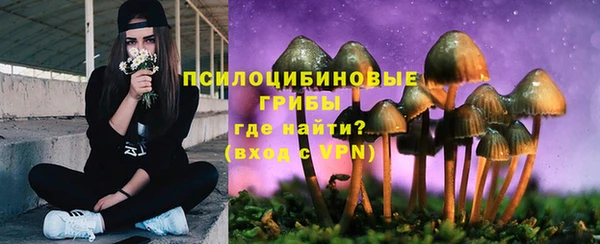 сатива Алексин