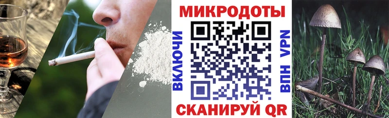 OMG сайт  Лодейное Поле  Псилоцибиновые грибы Psilocybe 
